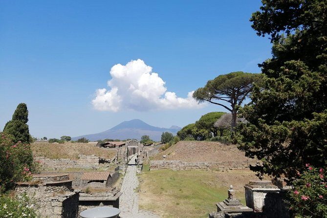 Skip-the-Line Pompeii & Volcano Vesuvius Day Tour w Hotel or Port Pickup - Pompeii’s payoff: getting past the worst waiting
