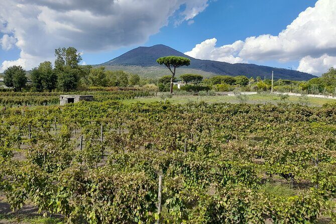 Skip-The-Line Tickets VIP Small Group Tour To Pompei and Vesuvius - Getting picked up and back: how the logistics feel in practice