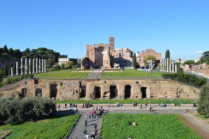 Small Group Colosseum, Roman Forum and Palatine Hill Guided Tour - Guide style matters: hearing the story is half the experience