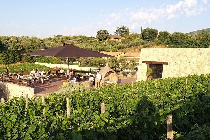 Small-Group Exclusive Winery and Wine Tasting Tour in Frascati - Key Things That Make This Tour Worth Your Time