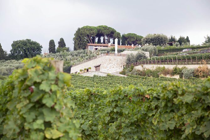 Small-Group Exclusive Winery and Wine Tasting Tour in Frascati - The Food Pairing: Charcuterie Board With Local Cheese, Meats, and Bread