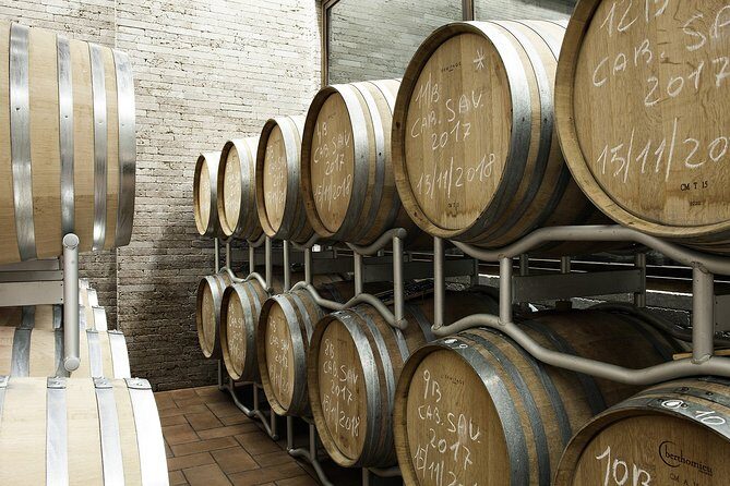 Small-Group Exclusive Winery and Wine Tasting Tour in Frascati - Timing, Pace, and What Two-and-a-Half Hours Actually Feels Like