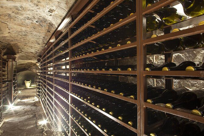Small-Group Exclusive Winery and Wine Tasting Tour in Frascati - Who Should Book This Frascati Winery Tasting?