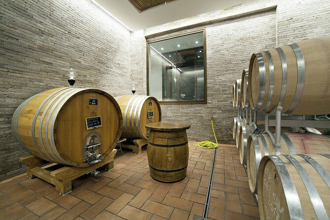 Small-Group Exclusive Winery and Wine Tasting Tour in Frascati - Cantina Imperatori: Terrace Views and the Roman Cave Tour