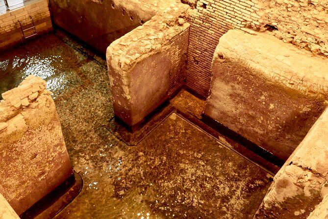 Small-Group Express Tour of Trevi Fountain with Undergrounds - Express Doesn’t Mean Skip—It Means Prioritize