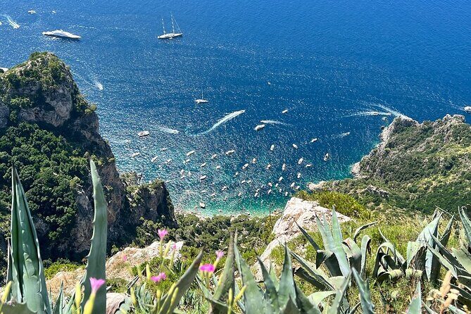 Small Group Tour from Rome to Blue Grotto, Anacapri and Capri - Capri by ferry: your first hour is about orientation
