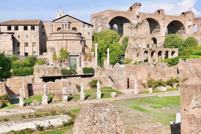 Small-Group Tour of Roman Forum & Palatine Hill - Roman Forum time: Vestal Virgins, temples, and the politics beneath your feet