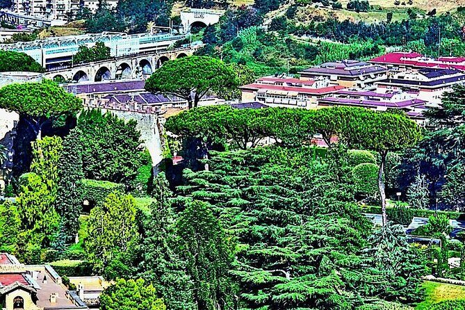 St. Peter's Basilica and Papal Grottoes Guided Tour - Down to the Papal Grottoes: The Crypt Beneath St. Peter’s