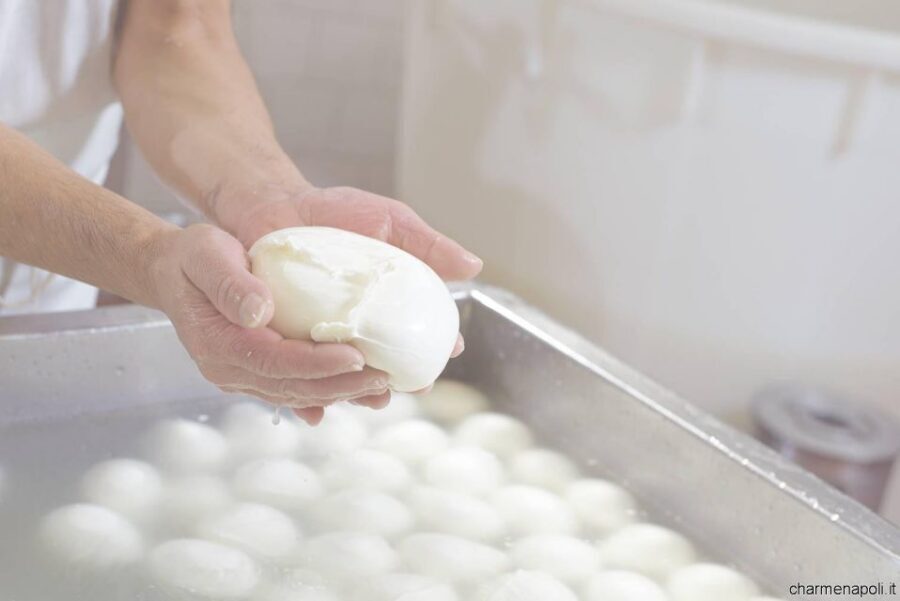 Street food tour: the Neapolitan culinary art - What You Actually Taste on This Tour