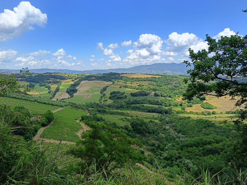 The Dying City "Civita Bagnoregio" w/wine tasting from Port - Civita di Bagnoregio: the bridge, the alleys, and the Valle dei Calanchi