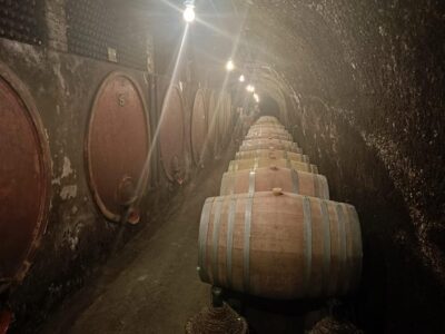 The Dying City "Civita Bagnoregio" w/wine tasting from Port - Montefiascone at 600 meters: lake views and the Est Est Est story