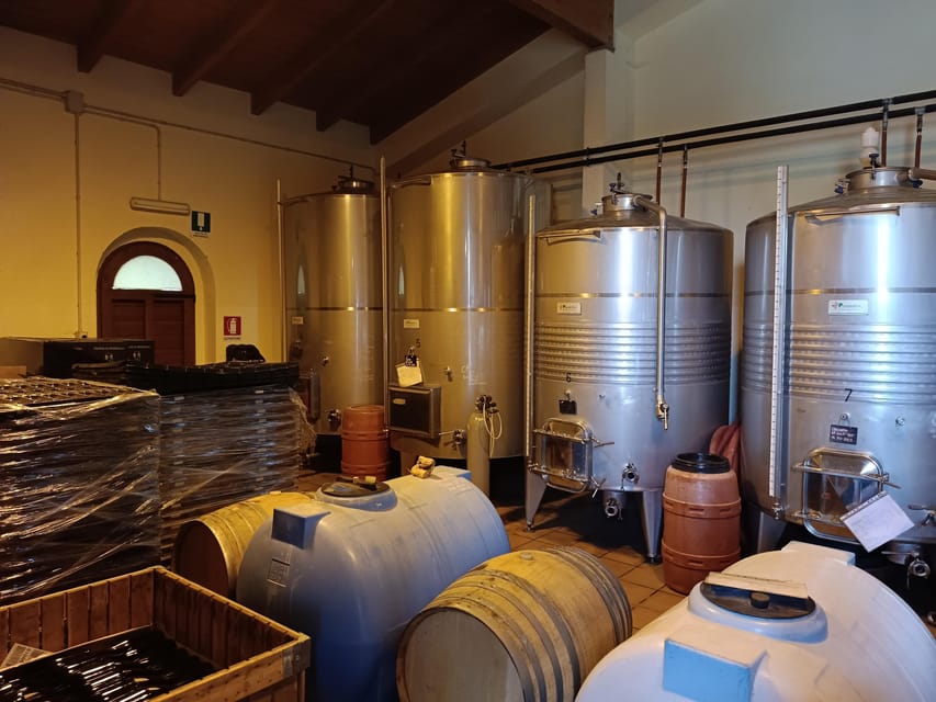 The Dying City "Civita Bagnoregio" w/wine tasting from Port - Who this tour fits best (and who should skip it)