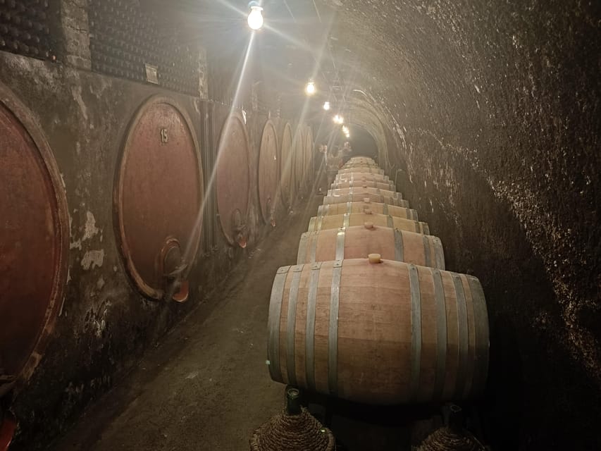 The Dying City "Civita Bagnoregio" w/wine tasting from Port - Montefiascone at 600 meters: lake views and the Est Est Est story