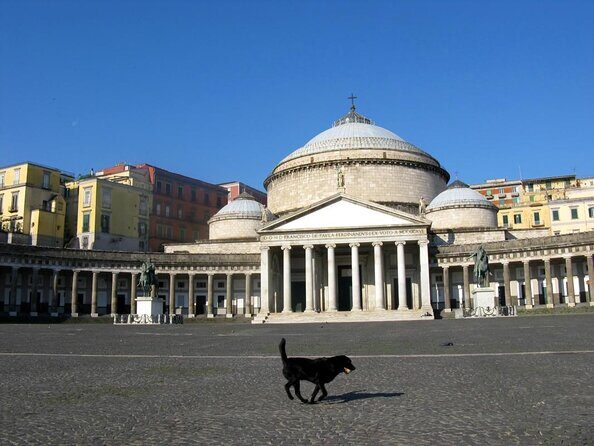 The Origins Of Naples. Unique private tour of the monumental area - Stop 2: Piazza del Plebiscito and the Bourbon power scene