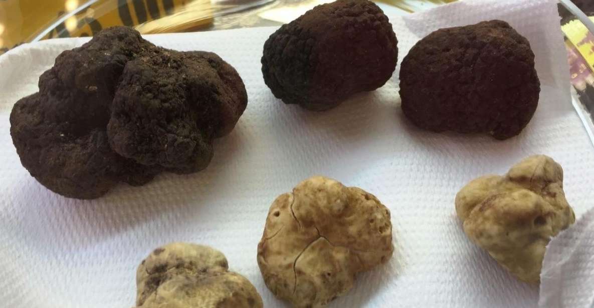 The Truffle Experience in Rome - Key things you’ll notice right away