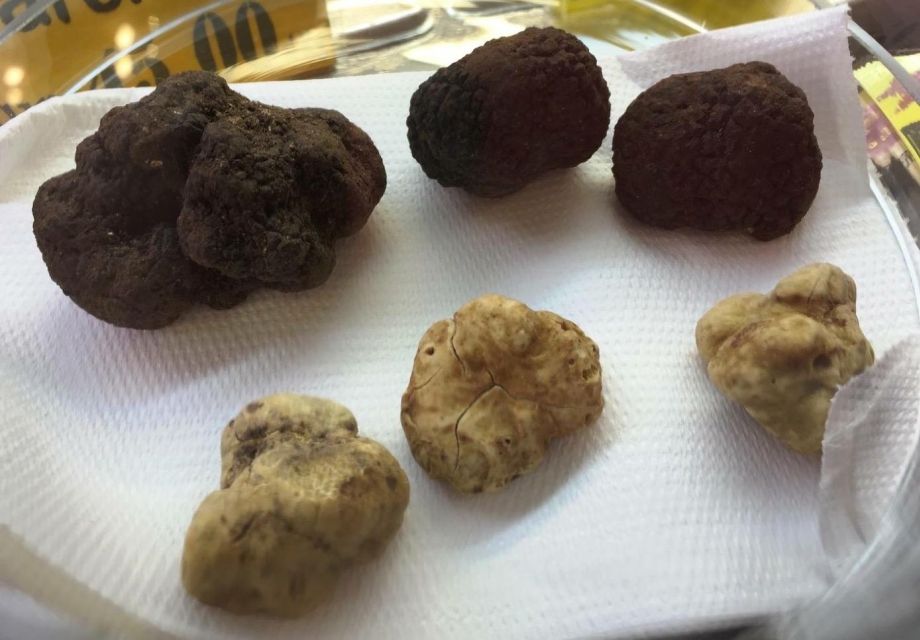 The Truffle Experience in Rome - Beyond truffle: mozzarella, pesto, tomatoes, and Parma ham