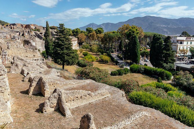 The Ultimate Ruins of Pompeii and Herculaneum Private Day Trip - Train to Herculaneum: A Different Kind of Ruin