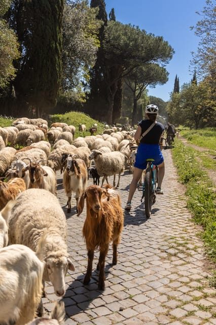 Top Electric MTB Adventure on Appian Way & Aqueducts, (26km) - Why the Appian Way Works So Well on an E-MTB