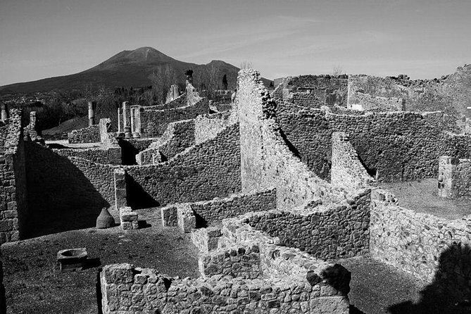 Tour in the ruins of Pompeii with an archaeologist - Who this private Pompeii archaeologist tour suits best
