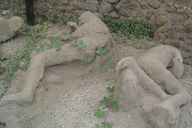 Tour of Mt. Vesuvius+Sorrento+Pompeii (Full Day) - Sorrento in One Hour: What You Can Actually Do