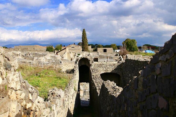 Tour of Pompeii for families with Transfer from Naples & Sorrento - The guide is the real attraction for families