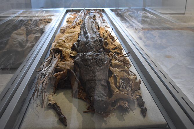 Tour of the Archaeological Museum of Naples - Logistics that affect your day in Naples