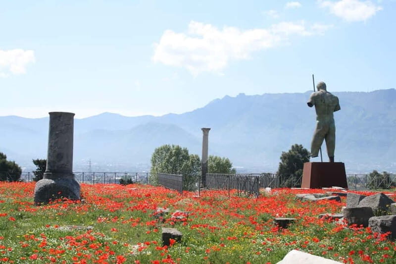 TRAMVIA -Da Naples: Pompei Ruins and Vesuvio Transfer by Bus - Where You’ll Board and Where You’ll Get Off