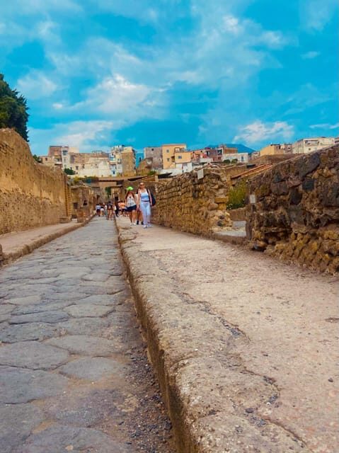 TRAMVIA From Naples: Ercolano Ruins e Vesuvius Transfer bus - Comfort and Logistics: What to Do Now So the Day Runs Smooth