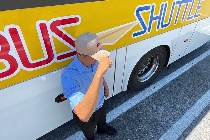 Transfer Fiumicino Airport from/to Vaticano shuttle bus - Fiumicino to the Vatican: a practical airport shuttle rhythm