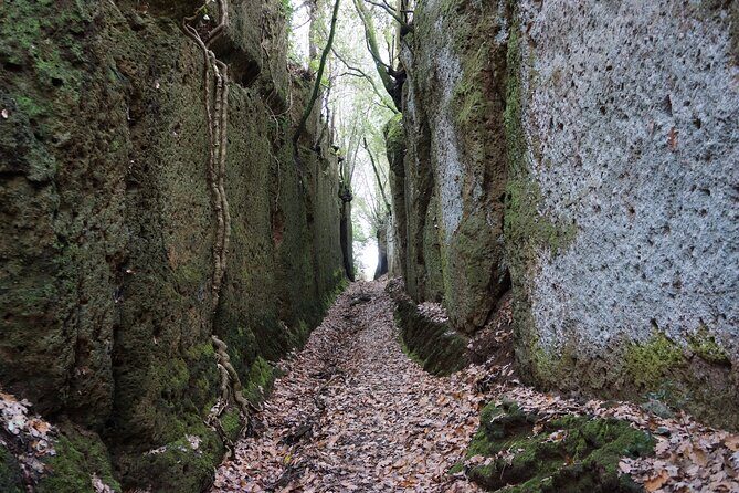Trekking Excursion History and Nature Necropolis of Norchia from Rome - Why Norchia feels like a lost city