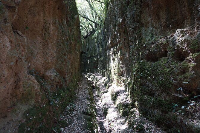 Trekking Excursion History and Nature Necropolis of Norchia from Rome - Lunch with local tastes: fuel that fits the day