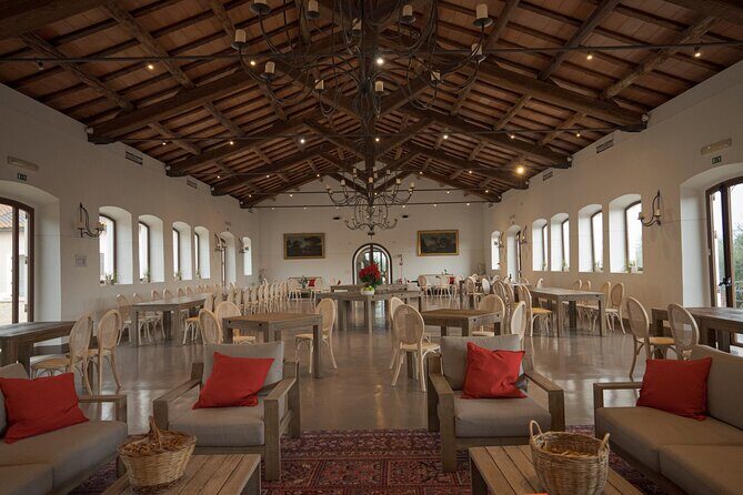 Truffle Hunting, Lunch & Cooking Class in Rome's Countryside - Key highlights worth your attention