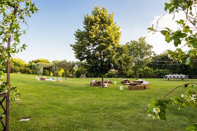 Truffle Hunting, Lunch & Cooking Class in Rome's Countryside - The 4-Course Truffle Lunch: What You Get and Why It’s Good Value