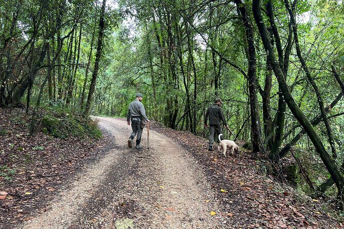 Truffle Hunting, Lunch & Cooking Class in Rome's Countryside - Who This Tour Is For (and Who Might Want to Skip It)