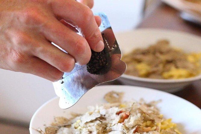 Truffle hunting near Rome with 7-course lunch - Key Things You’ll Notice Right Away