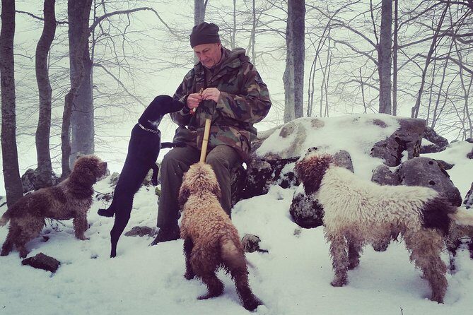 Truffle hunting near Rome with 7-course lunch - A Real Truffle Hunt Near Rome (with Matteo and His Dogs)