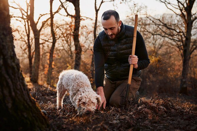 Truffle hunting near Rome with 7-course lunch - Watching Wendy, Giulietta, and Bobby Work