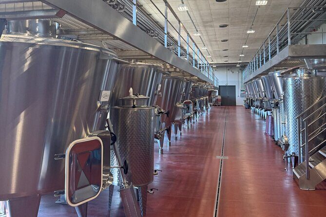 Tuscany & Pitigliano Day Tour from Rome with Wine Tasting & Lunch - Tenuta il Quinto: organic wine tasting with cheese and prosciutto