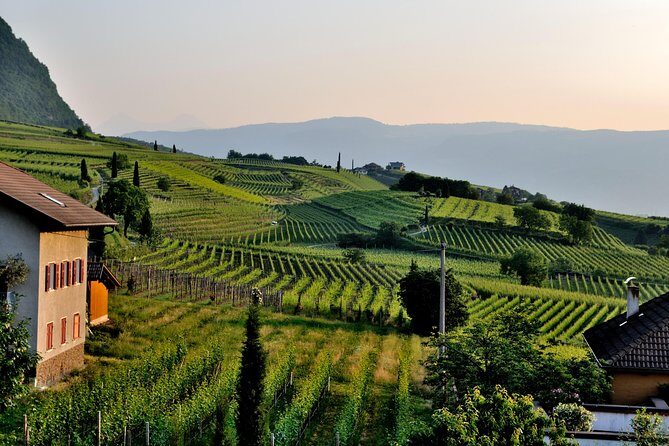 Tuscany Wine Tour from Rome with Private Driver - The Real Pace: 8:30 AM Start and a Full 10-Hour Day