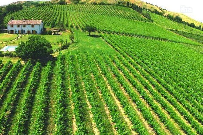 Under the Tuscan Sun Tour from Rome-Cortona & Montepulciano 1 day - Why Cortona And Montepulciano Works So Well In One Day