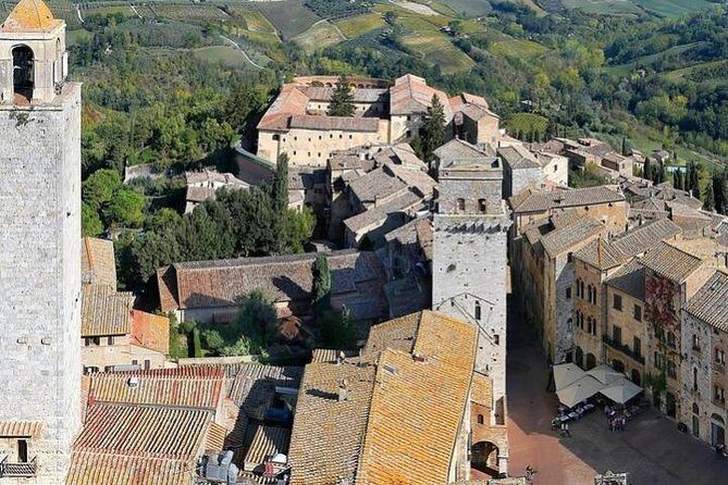 Under the Tuscan Sun Tour from Rome-Cortona & Montepulciano 1 day - The Human Part: How The Driver And Guide Shape The Day