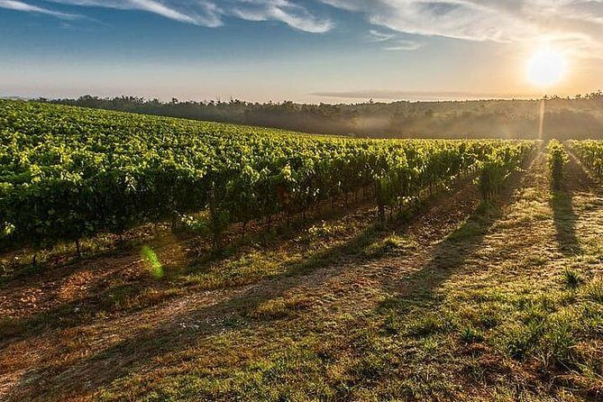 Under the Tuscan Sun Tour from Rome-Cortona & Montepulciano 1 day - Morning Pickup From Rome: The Comfort Factor And The Real Timing