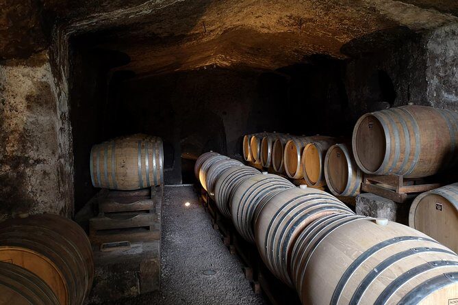 Unique EnoBike experience with tasting in 2 excellent wineries - Key highlights you’ll feel on the day