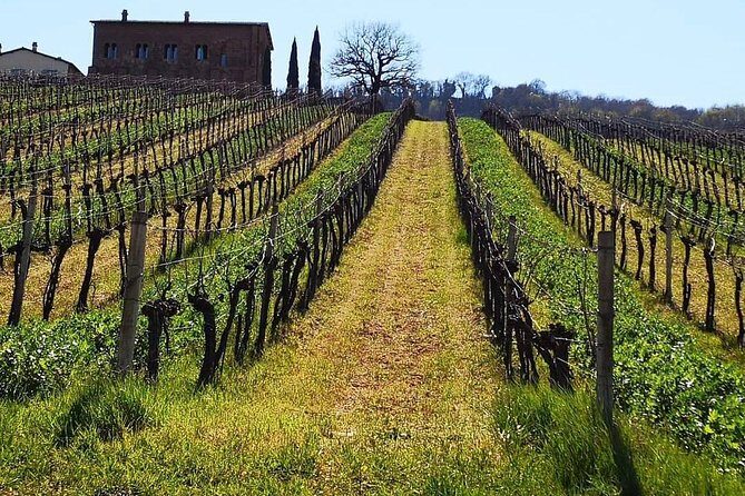 Unique EnoBike experience with tasting in 2 excellent wineries - Stop 2: Cantine Neri tasting in Etruscan caves