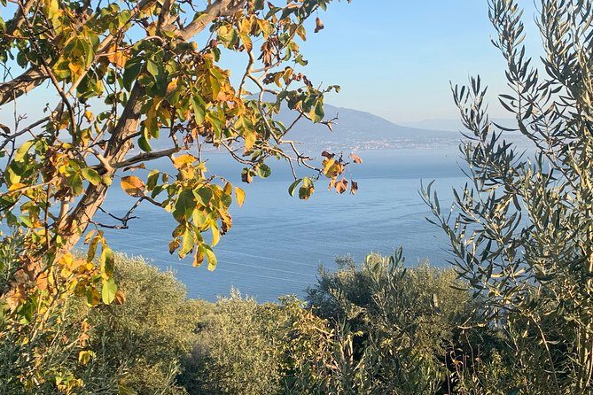 Unique Tour | Discovering Amalfi on a Minivan with driver - Amalfi stop: cathedral, harbor vibes, and lemon treats