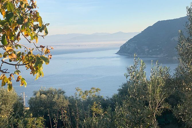 Unique Tour | Discovering Amalfi on a Minivan with driver - Price of $325.80: what you’re paying for, and when it’s a smart value