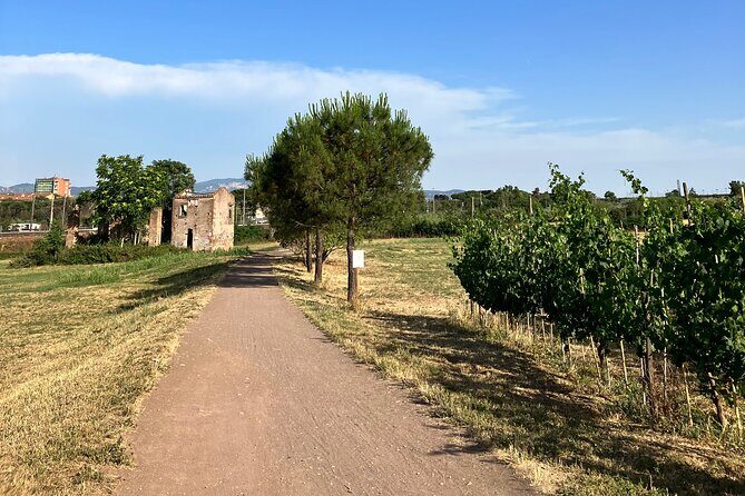 Urban Hike to the Aqueduct Park in Rome - Pigneto: Markets, Coffee Shops, and a Local Start