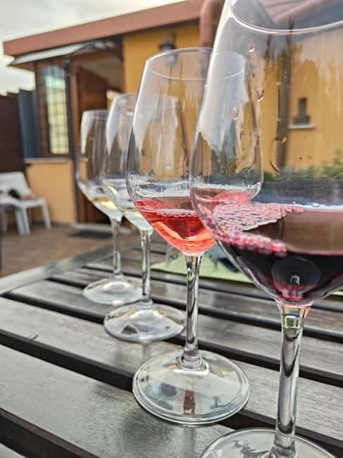 Vatican Pasta Class with 5 Wines Tasting in a cozy Rooftop - Rooftop Pasta Near the Vatican: the real vibe