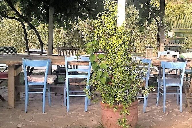 Vegetarian Cooking class in the Roman countryside - Your 10:00 to 14:30 day: what happens step-by-step