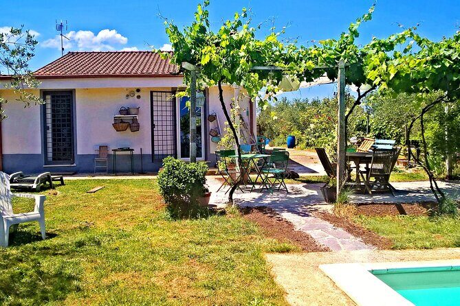 Vegetarian Cooking class in the Roman countryside - Who this vegetarian cooking class is best for